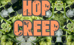 Hop Creep【Dry Hop と二次発酵の不思議な関係】
