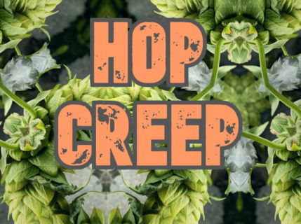 Hop Creep【Dry Hop と二次発酵の不思議な関係】