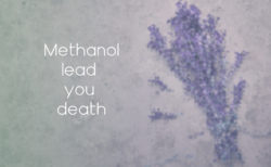 【危険か伝統か】Methanol/メタノール【旅行と酒】